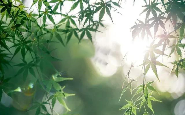 今天入伏，多地高温